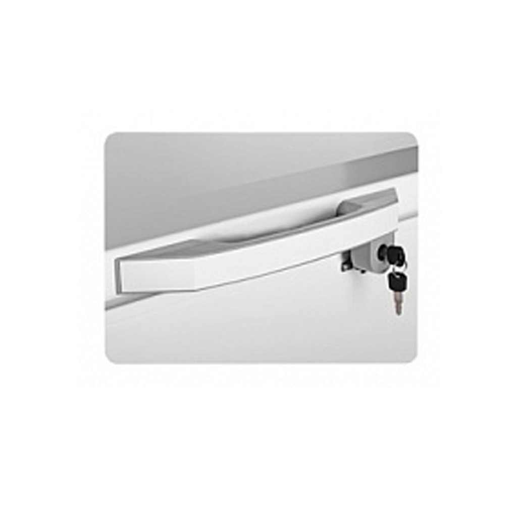 Hisense 310L Chest Freezer FC-31DD4SA