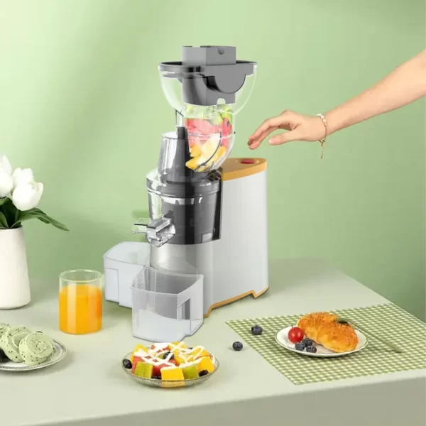 WINNING STAR Slow Juicer 150W ST-5598 -  Stainless Steel Electric Juice Extractor Juicer Machine