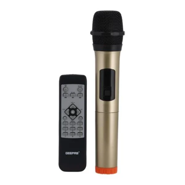 Hi-Fi Speaker with UHF Mic & Remote