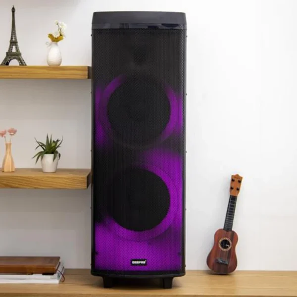 Hi-Fi Speaker with UHF Mic & Remote