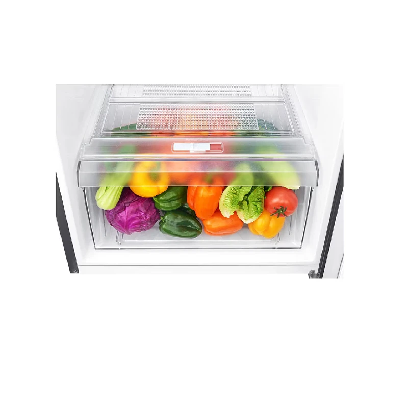 LG 187L Top Freezer Refrigerator