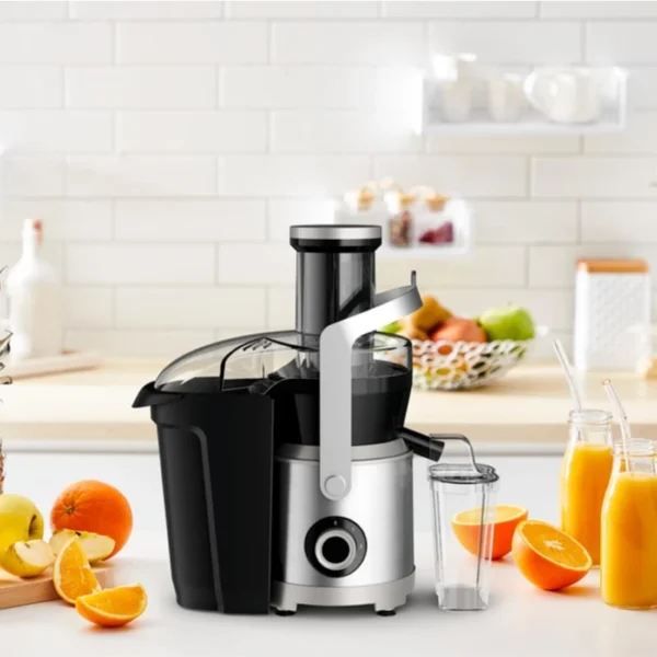 Moulinex Nutri XXL Juicer