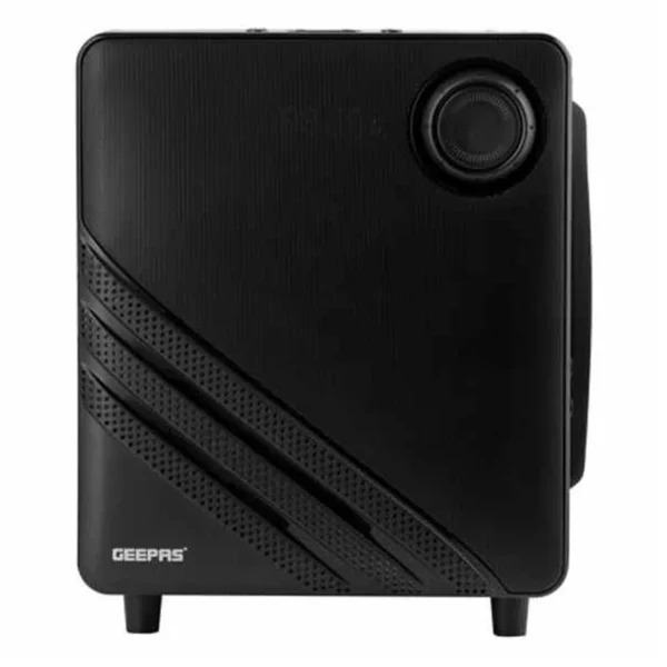 Speaker